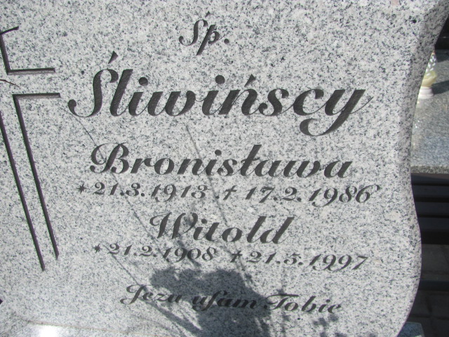 Witold Śliwiński 1908 Gniezno Bierzglinek - Grobonet - Wyszukiwarka osób pochowanych