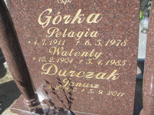 Walenty Górka 1904 Gniezno Bierzglinek - Grobonet - Wyszukiwarka osób pochowanych