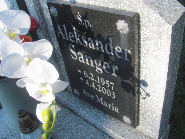 Aleksander Sanger 1957 Gniezno Bierzglinek - Grobonet - Wyszukiwarka osób pochowanych