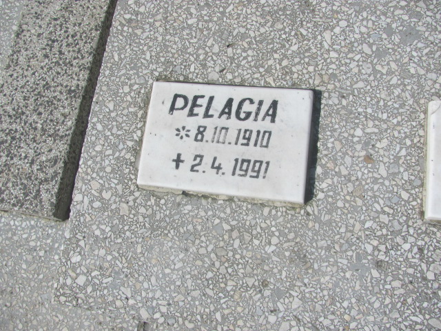 Pelagia Surdyk 1910 Gniezno Bierzglinek - Grobonet - Wyszukiwarka osób pochowanych