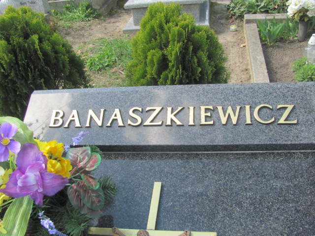 Anna Banaszkiewicz 1949 Gniezno Bierzglinek - Grobonet - Wyszukiwarka osób pochowanych