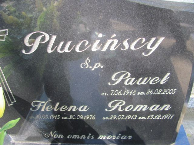 Roman Pluciński 1913 Gniezno Bierzglinek - Grobonet - Wyszukiwarka osób pochowanych