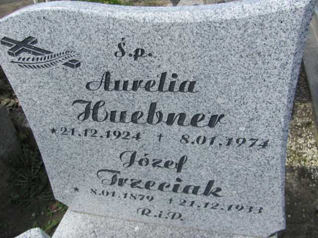 Aurelia Huebner 1924 Gniezno Bierzglinek - Grobonet - Wyszukiwarka osób pochowanych