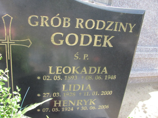 Henryk Godek 1924 Gniezno Bierzglinek - Grobonet - Wyszukiwarka osób pochowanych