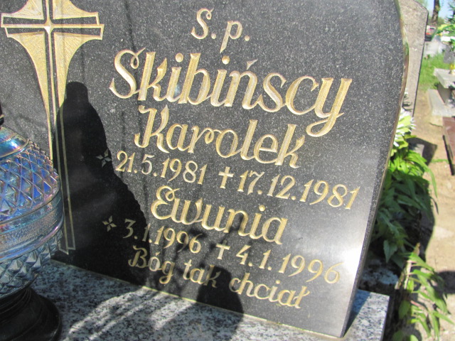 Karol Skibiński 1981 Gniezno Bierzglinek - Grobonet - Wyszukiwarka osób pochowanych