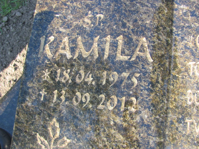 Dawid Wrona 1980 Gniezno Bierzglinek - Grobonet - Wyszukiwarka osób pochowanych