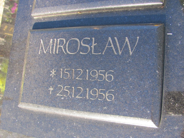  - Grobonet - kup kwiaty