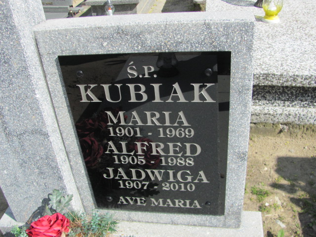 Alfred Kubiak 1904 Gniezno Bierzglinek - Grobonet - Wyszukiwarka osób pochowanych