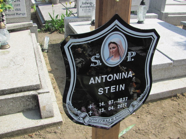 Antonina Stein 1937 Gniezno Bierzglinek - Grobonet - Wyszukiwarka osób pochowanych