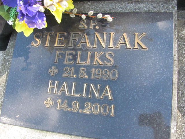 Feliks Stefaniak Gniezno Bierzglinek - Grobonet - Wyszukiwarka osób pochowanych