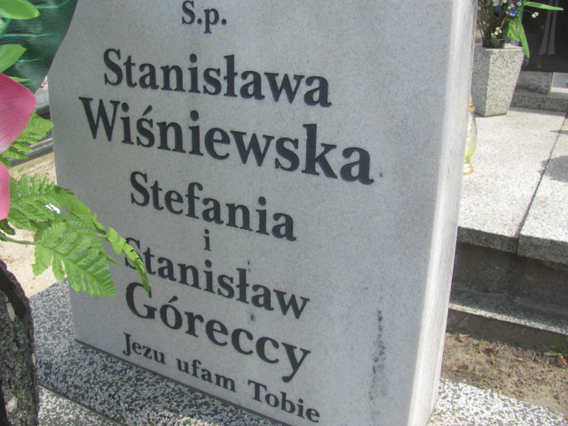 Halina Górecka 1950 Gniezno Bierzglinek - Grobonet - Wyszukiwarka osób pochowanych