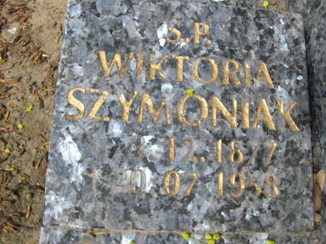 Wojciech Karmowski 1954 Gniezno Bierzglinek - Grobonet - Wyszukiwarka osób pochowanych