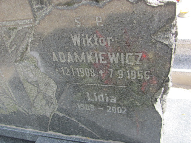 Jadwiga Kostecka 1898 Gniezno Bierzglinek - Grobonet - Wyszukiwarka osób pochowanych