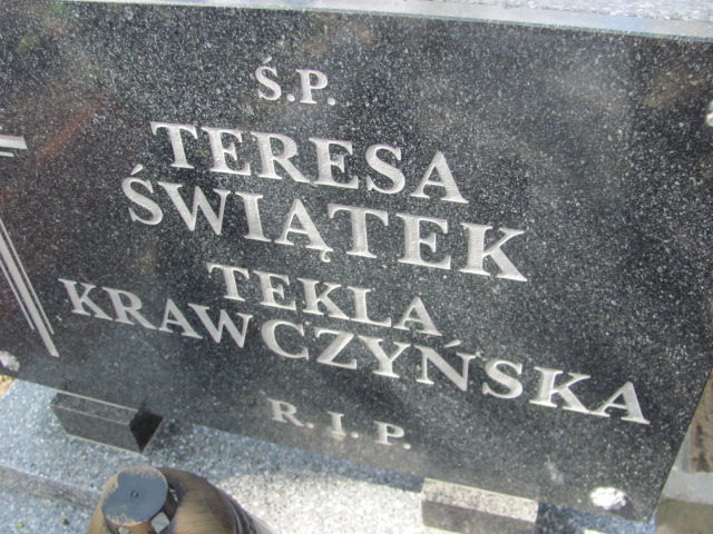 Tekla Krawczyńska Gniezno Bierzglinek - Grobonet - Wyszukiwarka osób pochowanych