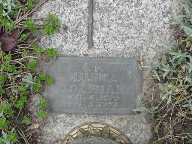 Nikodem Michałowicz 2023 Gniezno Bierzglinek - Grobonet - Wyszukiwarka osób pochowanych