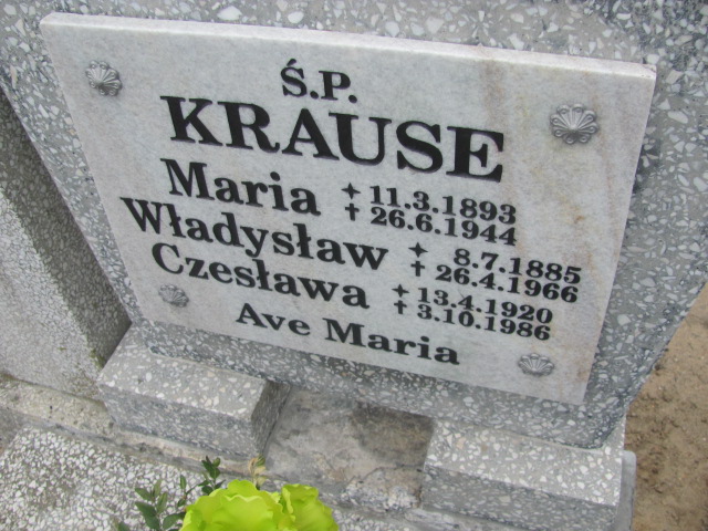 Czesława Krause 1920 Gniezno Bierzglinek - Grobonet - Wyszukiwarka osób pochowanych