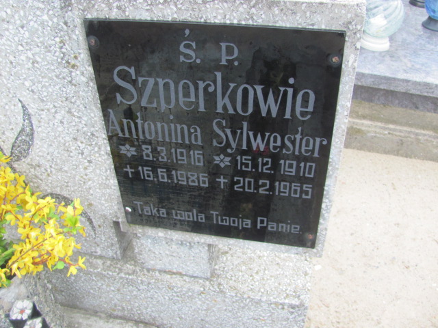 Sylwester Szperka 1910 Gniezno Bierzglinek - Grobonet - Wyszukiwarka osób pochowanych