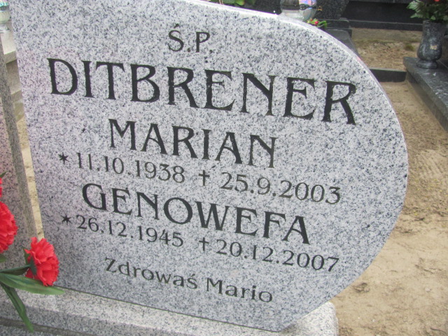Genowefa Ditbrener 1945 Gniezno Bierzglinek - Grobonet - Wyszukiwarka osób pochowanych