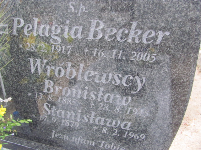 Grób Stanisława Wróblewska